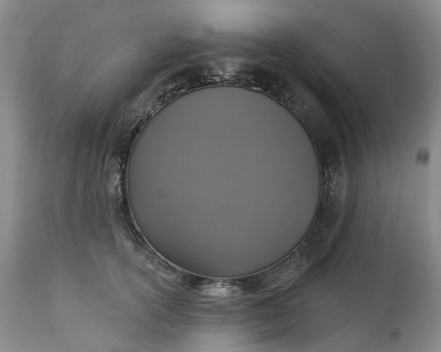 X0000111360754200907241222