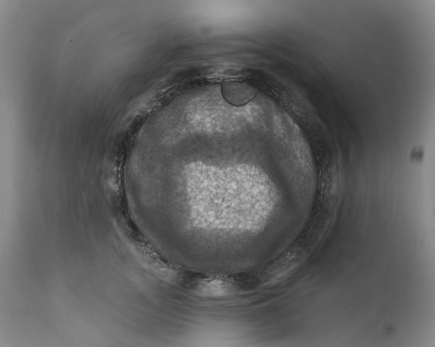 X0000111360755200907241222