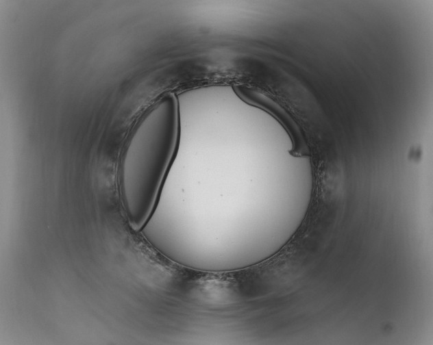 X0000111360756200907241222