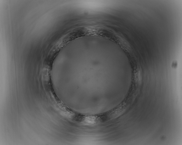 X0000111360757200907241222