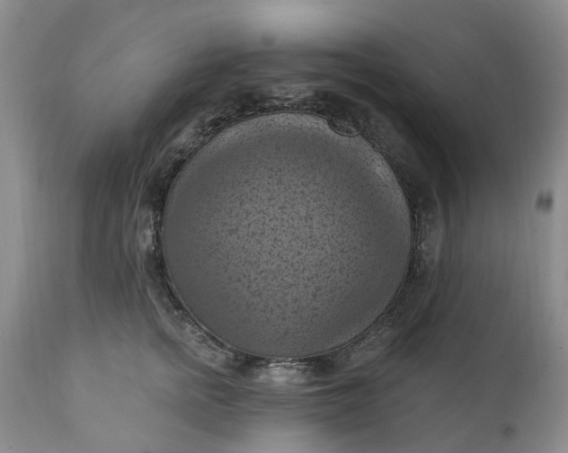 X0000111360758200907241222