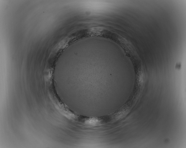 X0000111360759200907241222