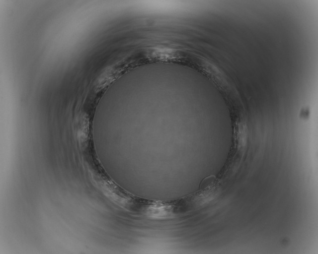 X0000111360760200907241222