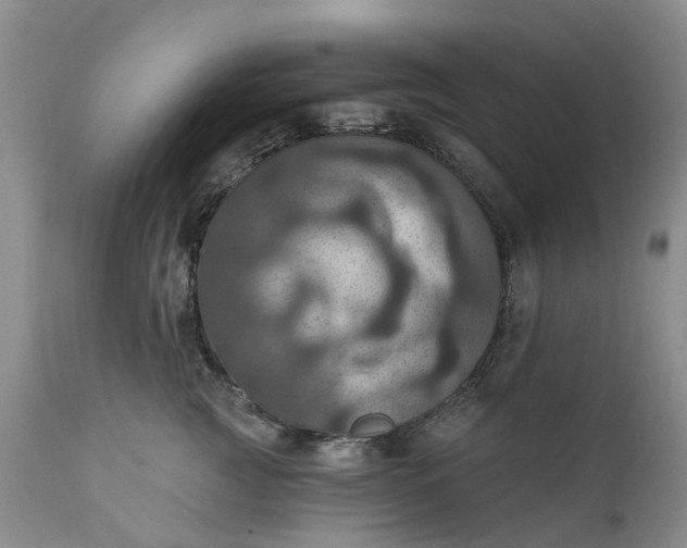 X0000111360761200907241222