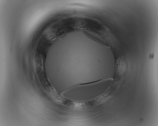 X0000111360762200907241222