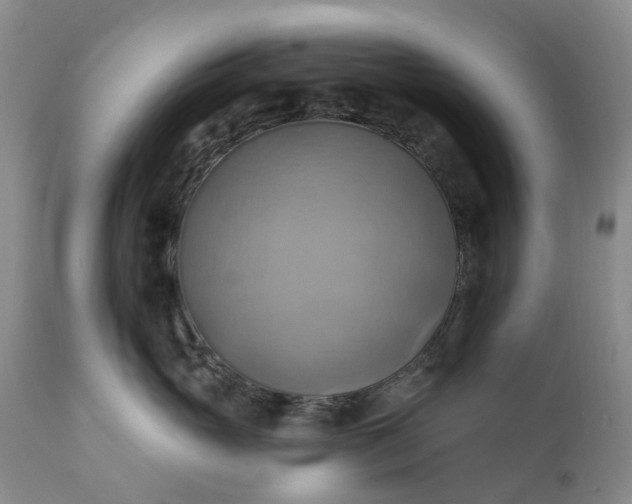 X0000111360765200907241222