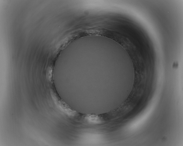 X0000111360767200907241222