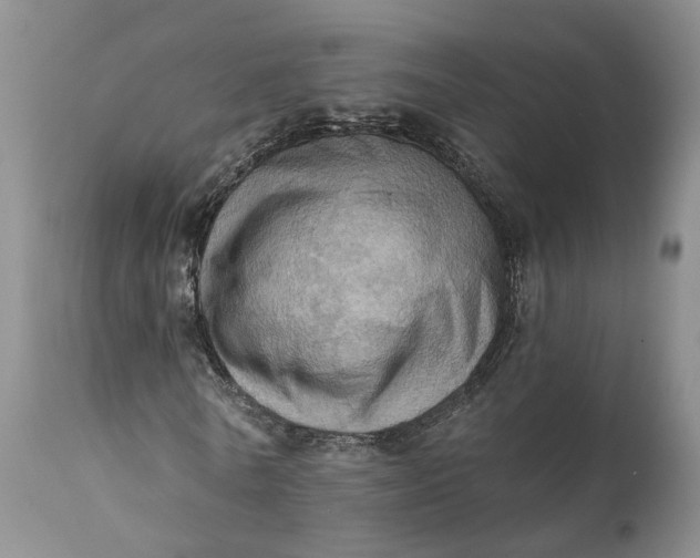 X0000111360770200907241221