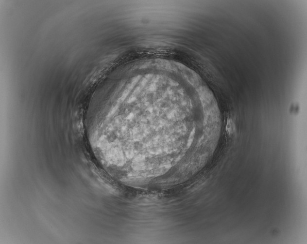 X0000111360771200907241221