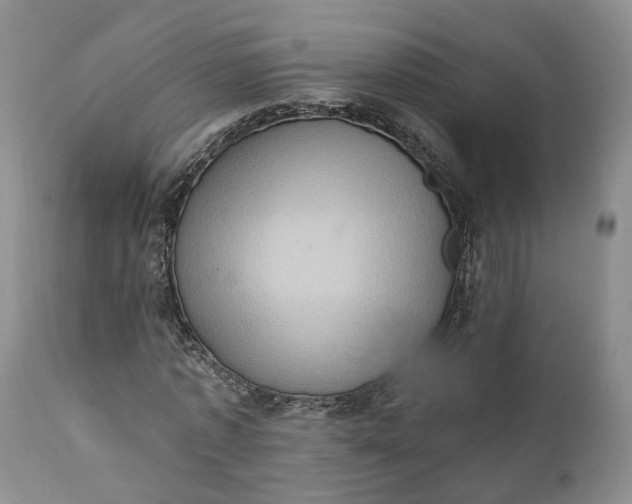 X0000111360773200907241221