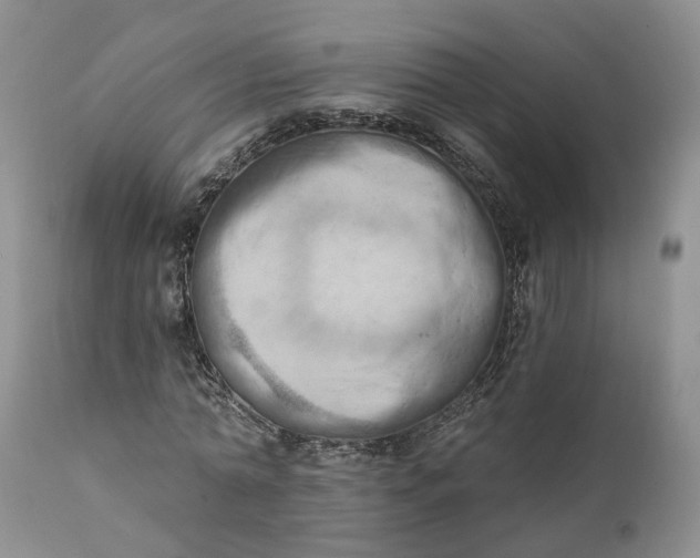 X0000111360774200907241221
