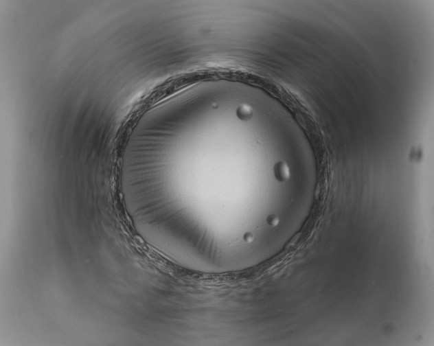 X0000111360776200907241221