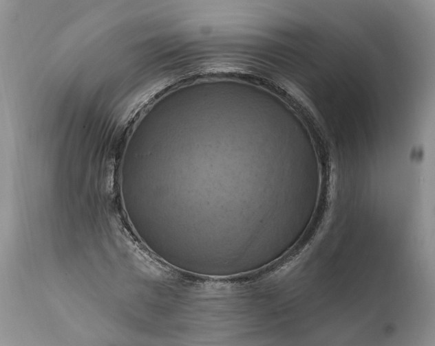 X0000111360777200907241221