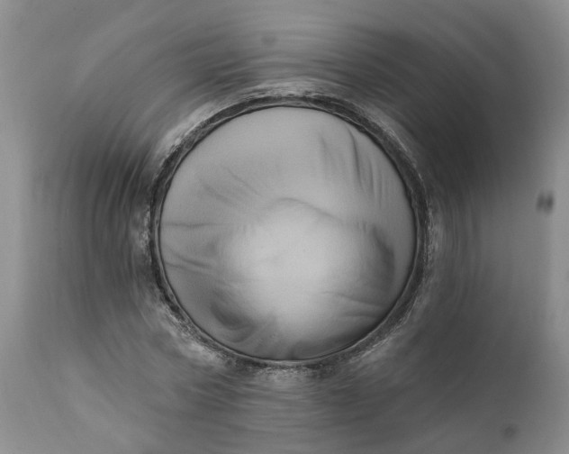 X0000111360778200907241221