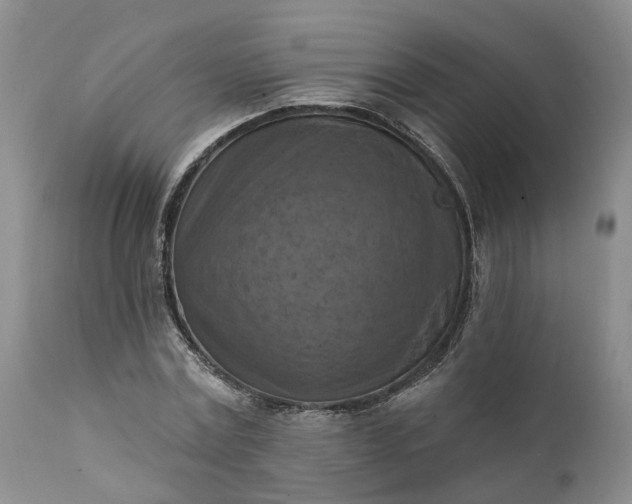 X0000111360779200907241221