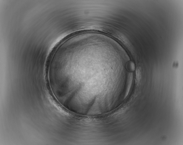 X0000111360780200907241221