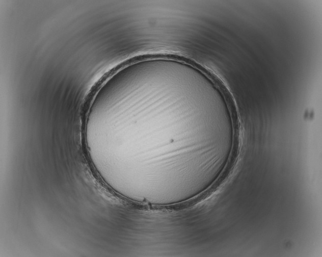 X0000111360781200907241221