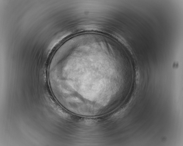 X0000111360782200907241221
