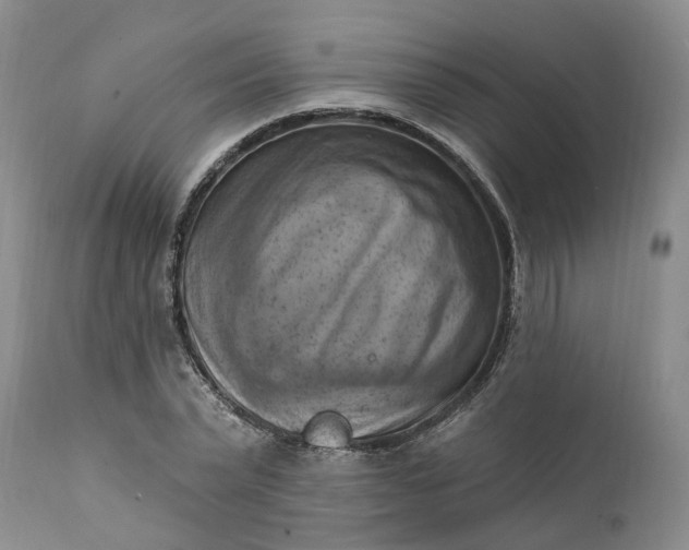 X0000111360783200907241221