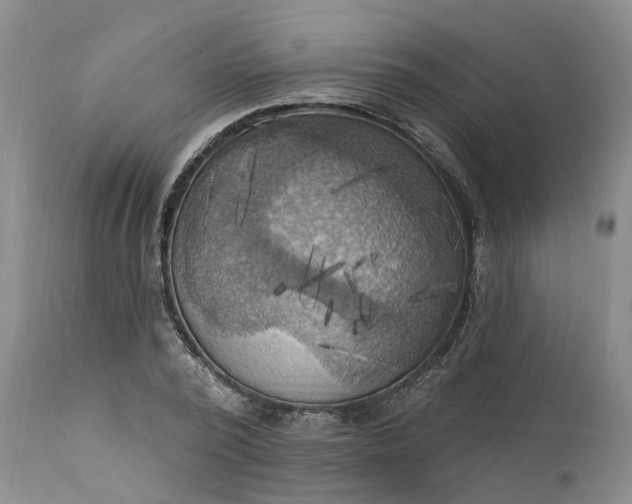 X0000111360784200907241221