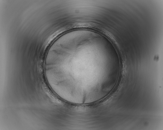X0000111360786200907241221