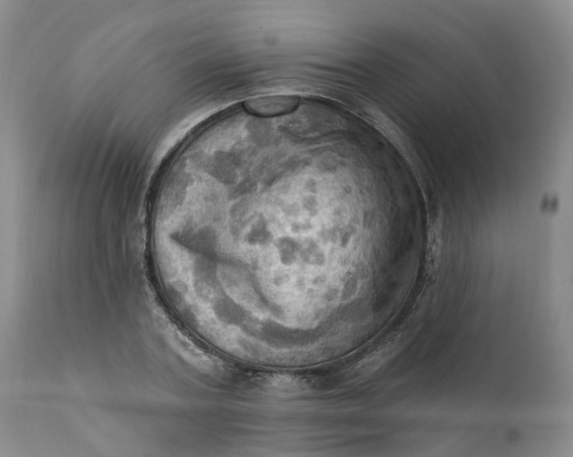 X0000111360787200907241221