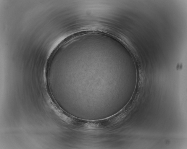 X0000111360788200907241221