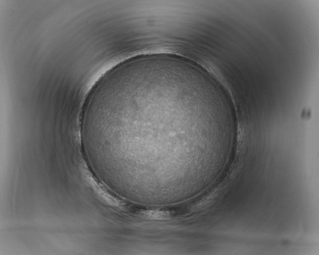 X0000111360789200907241221