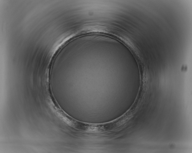 X0000111360790200907241221