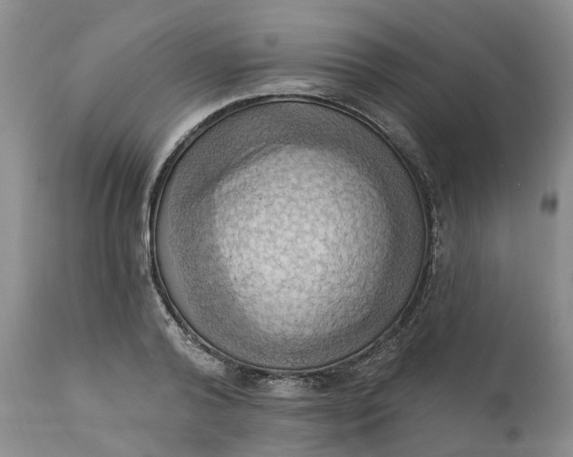 X0000111360792200907241221