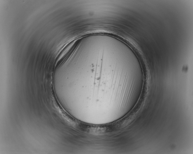 X0000111360793200907241221