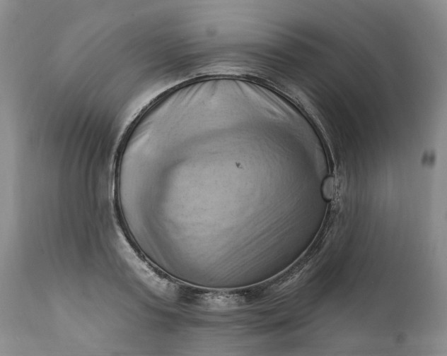 X0000111360795200907241221