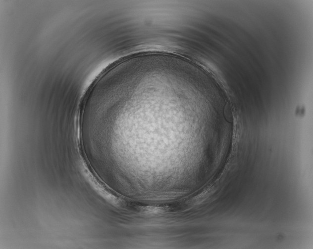 X0000111360796200907241221