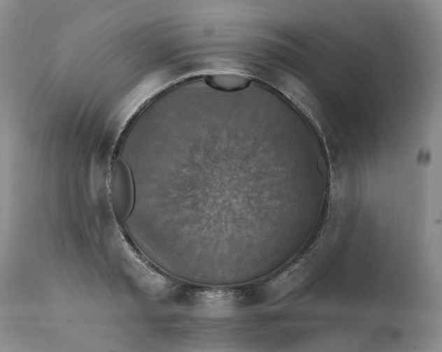X0000111360797200907241221