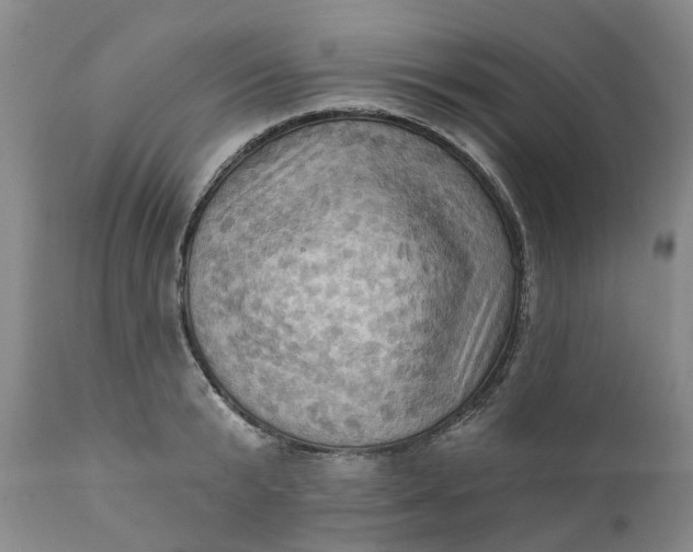 X0000111360799200907241221
