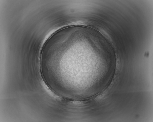 X0000111360800200907241221