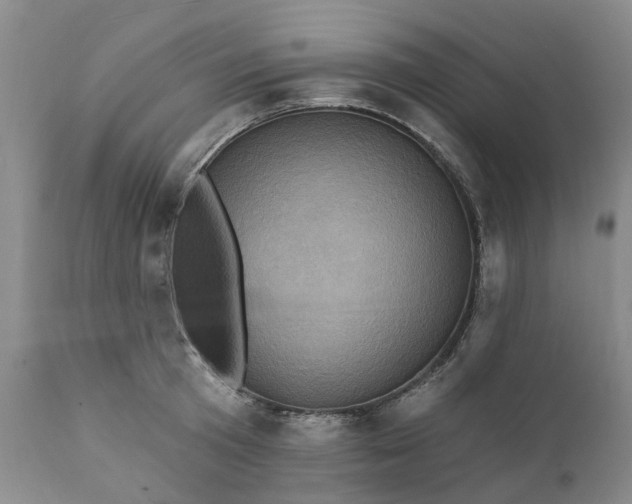 X0000111360801200907241221