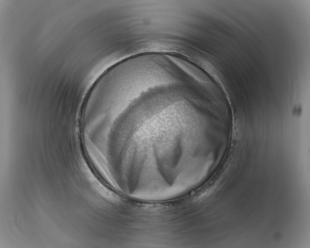 X0000111360803200907241221