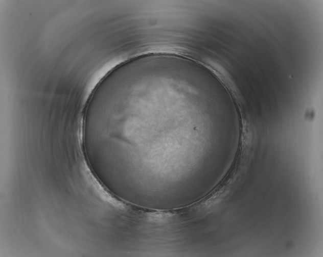 X0000111360804200907241221
