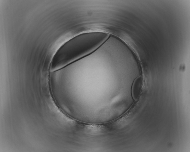 X0000111360805200907241221