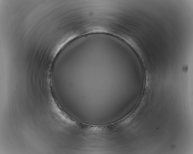 X0000111360806200907241221