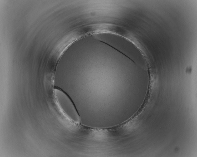 X0000111360809200907241221