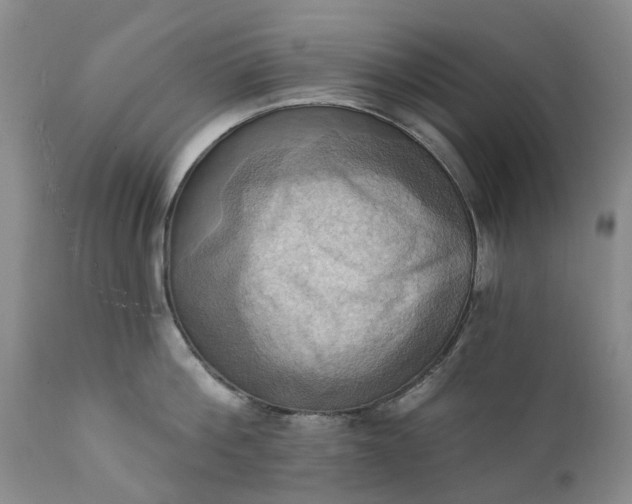 X0000111360812200907241221