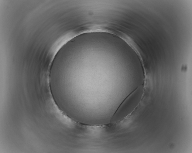 X0000111360813200907241221