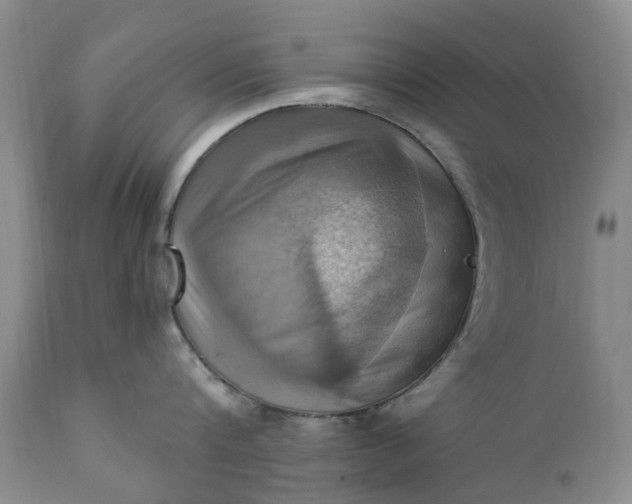 X0000111360816200907241221