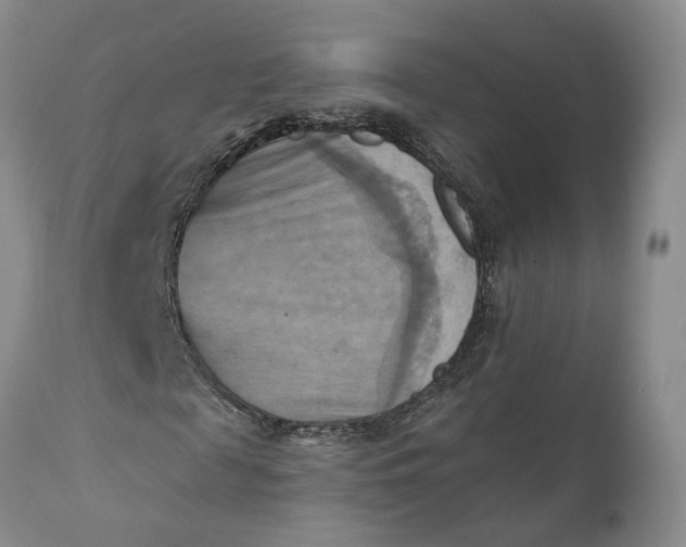 X0000111360817200907241220
