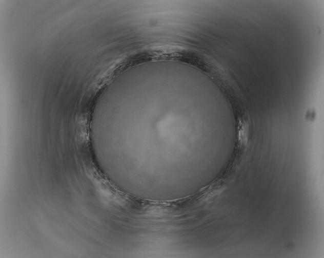 X0000111360819200907241220