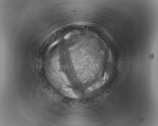X0000111360821200907241220