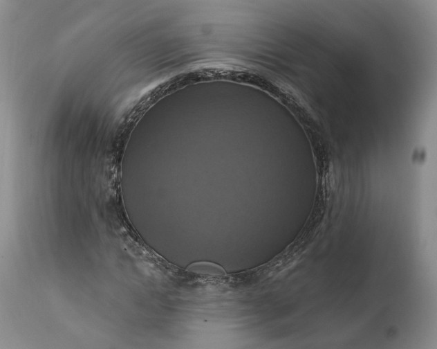 X0000111360822200907241220