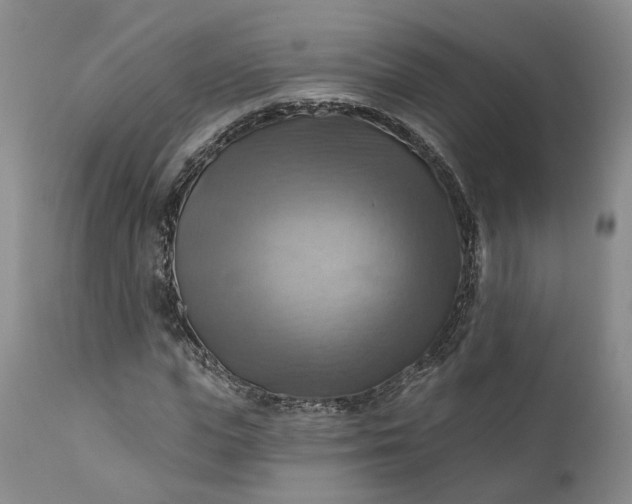X0000111360823200907241220